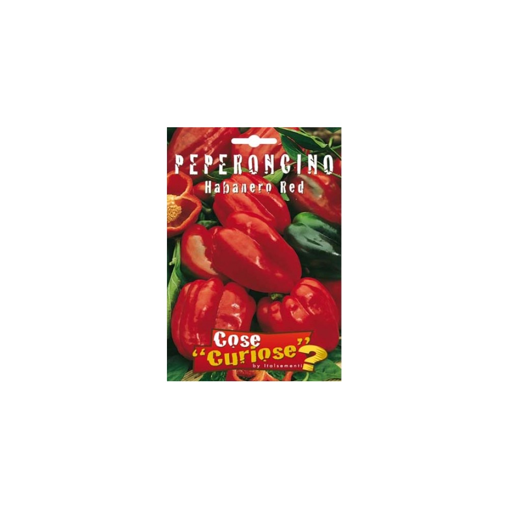 Semi Peperoncino Habanero Red Caribbean